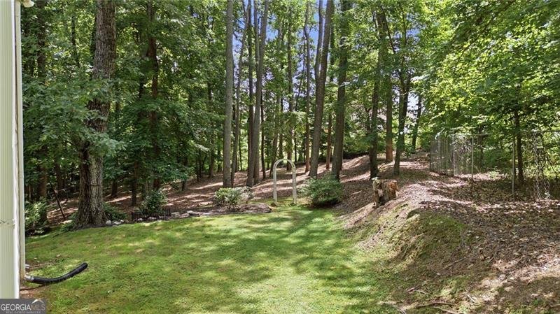5855 Wills Lake Road Cumming - Photo 49