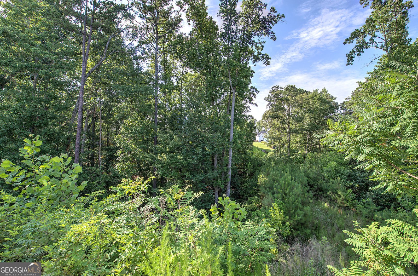 14 Brownwood Drive Cartersville - Photo 55