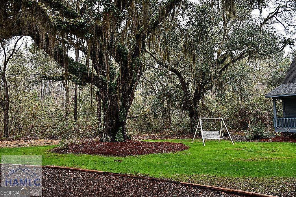 1000 Barrett Cemetery Road Ludowici - Photo 7