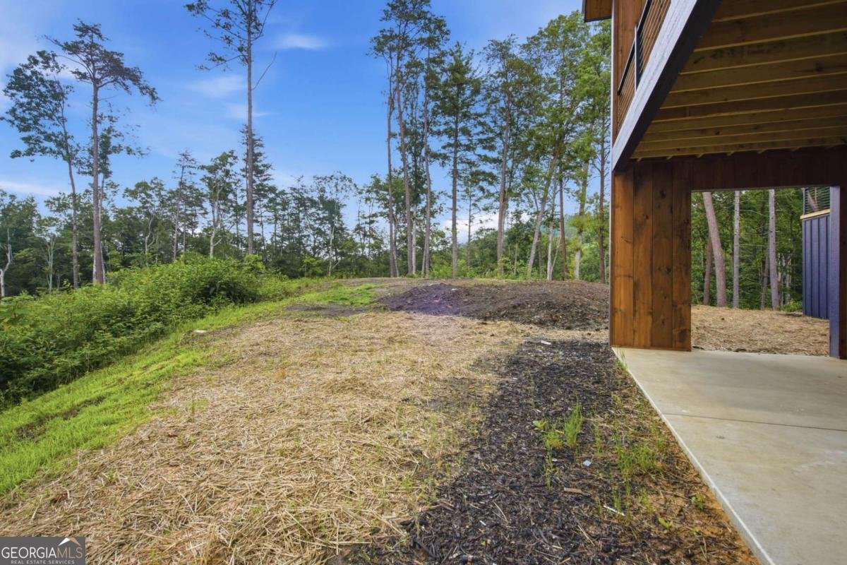 1705 Old Northcutt Road Ellijay - Photo 38