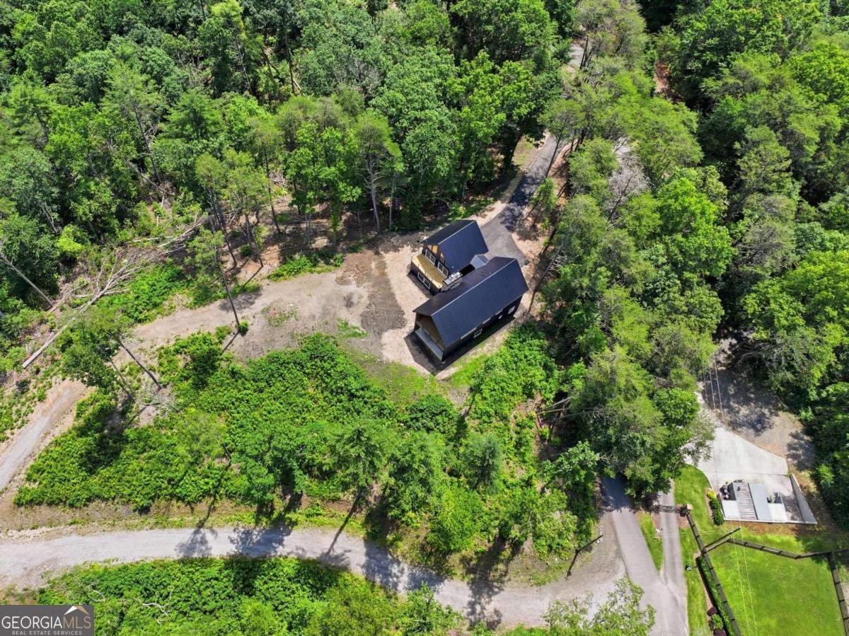 1705 Old Northcutt Road Ellijay - Photo 40