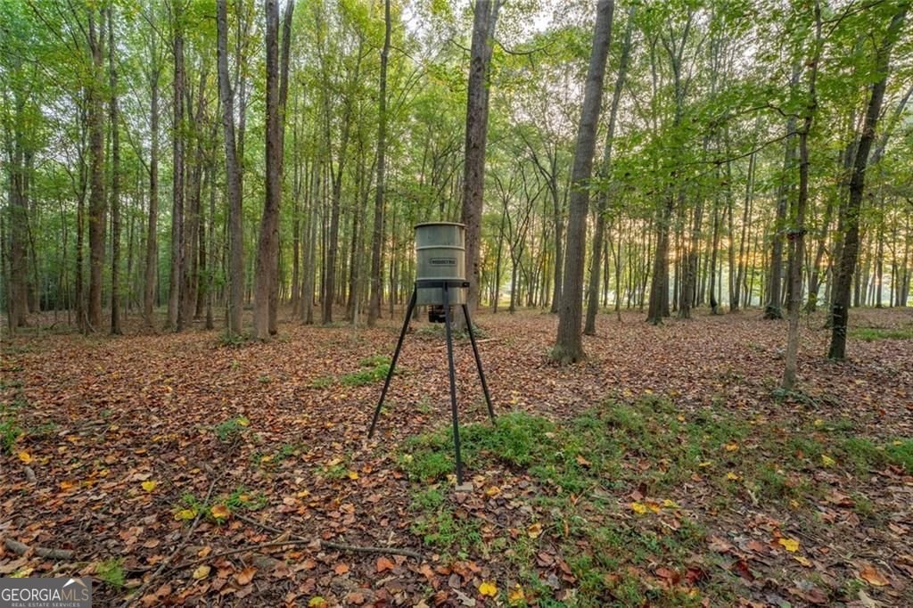195 Sims Farm Way Road Maysville - Photo 85