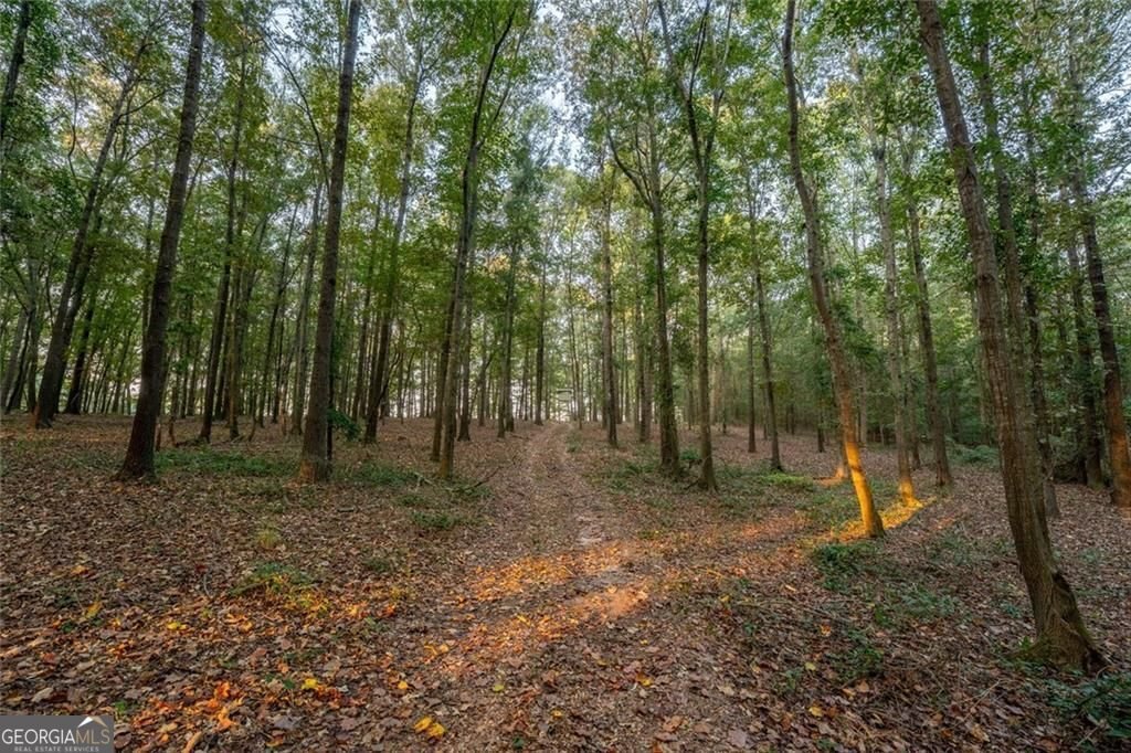 195 Sims Farm Way Road Maysville - Photo 88