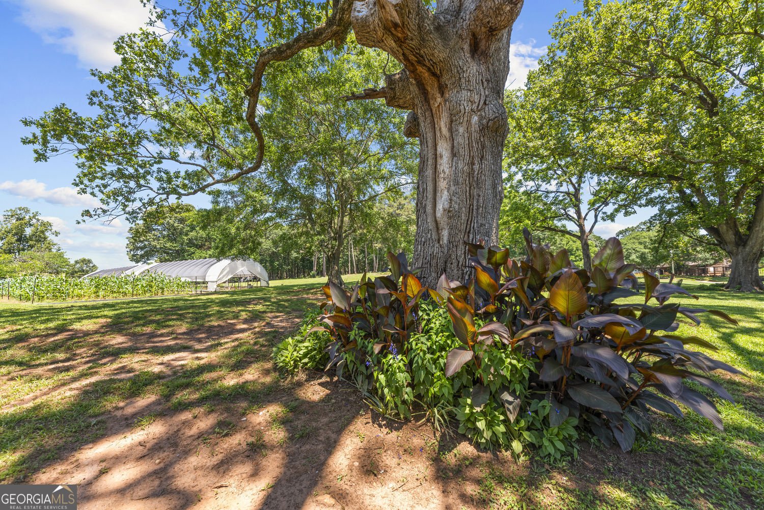 195 Sims Farm Way Road Maysville - Photo 94
