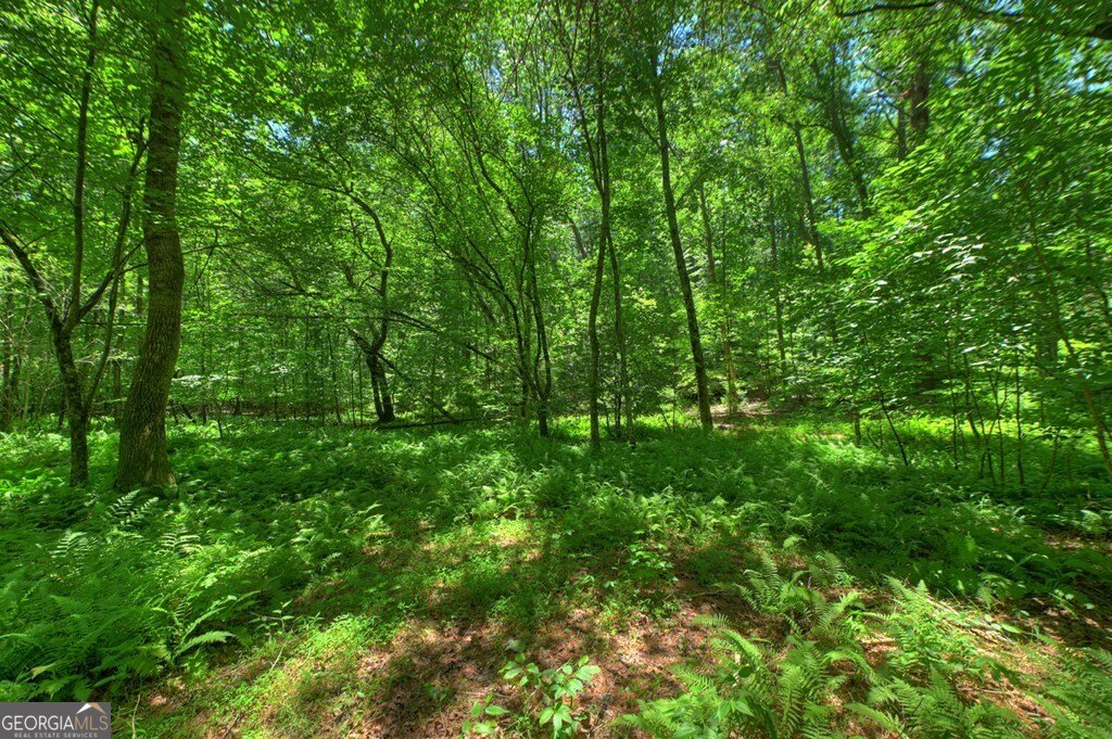 6385 Hwy 2 Epworth - Photo 12