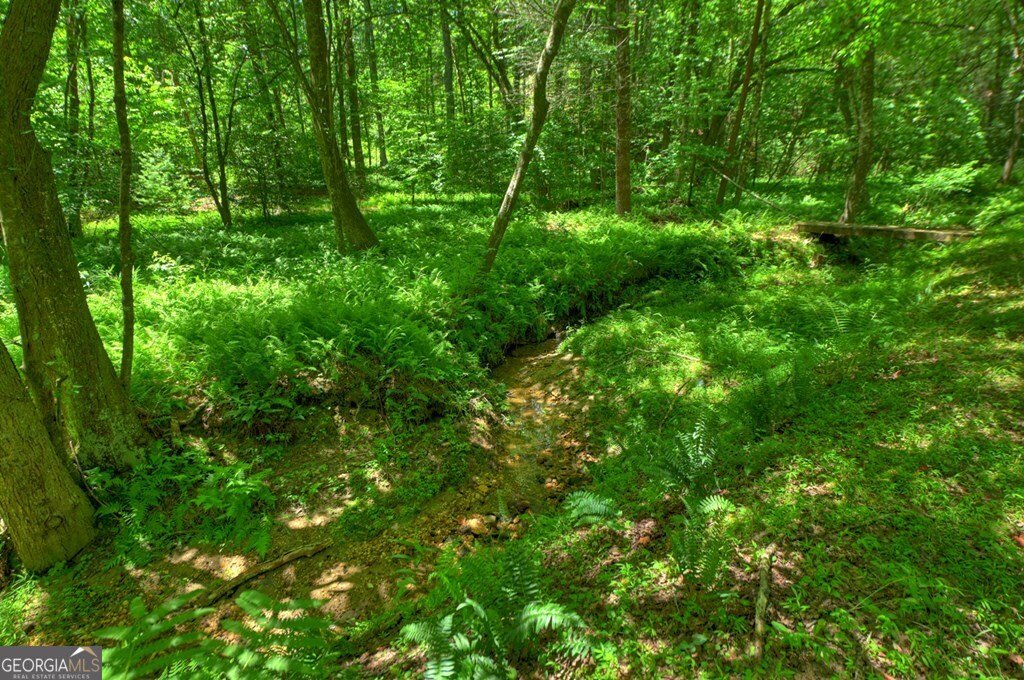 6385 Hwy 2 Epworth - Photo 14