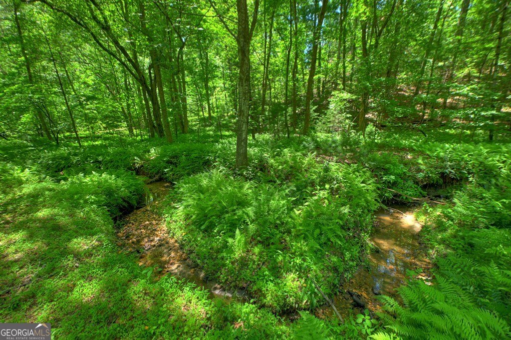 6385 Hwy 2 Epworth - Photo 17