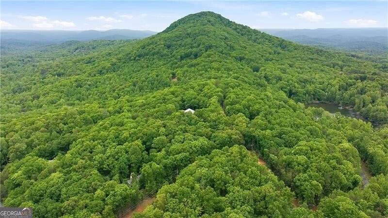 1077 Panorama Drive Sautee Nacoochee - Photo 36