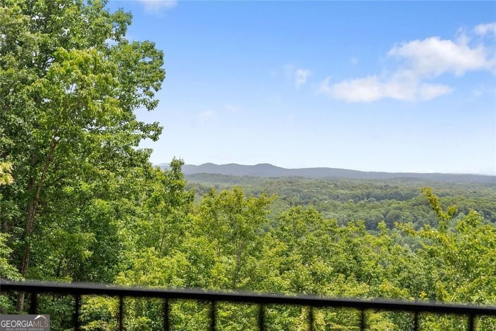 1055 Laceola Road Cleveland - Photo 47