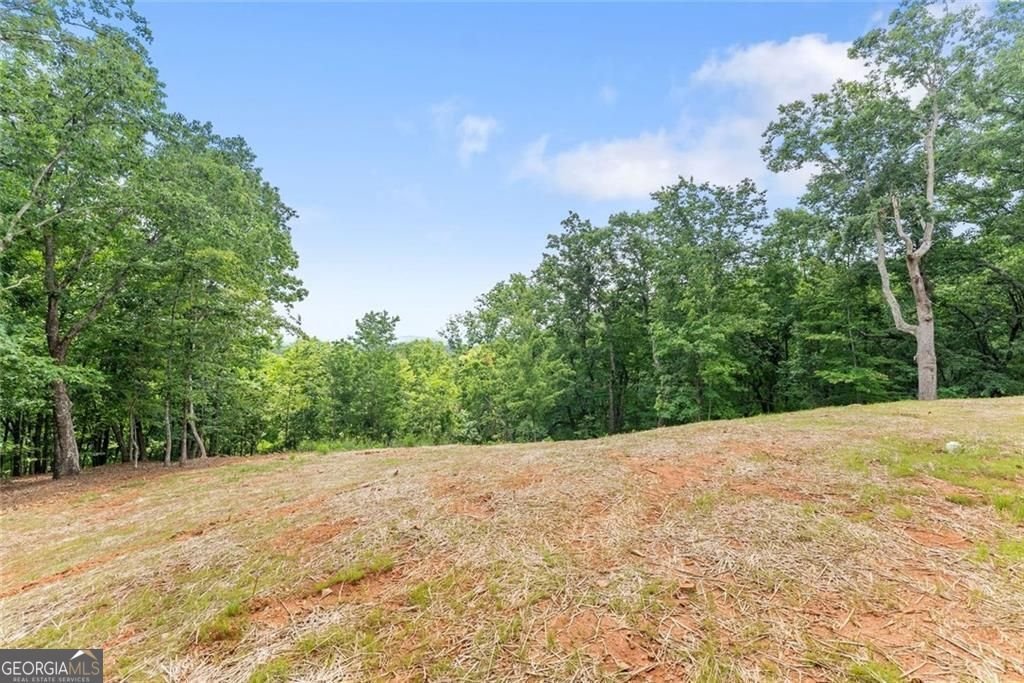 1055 Laceola Road Cleveland - Photo 65