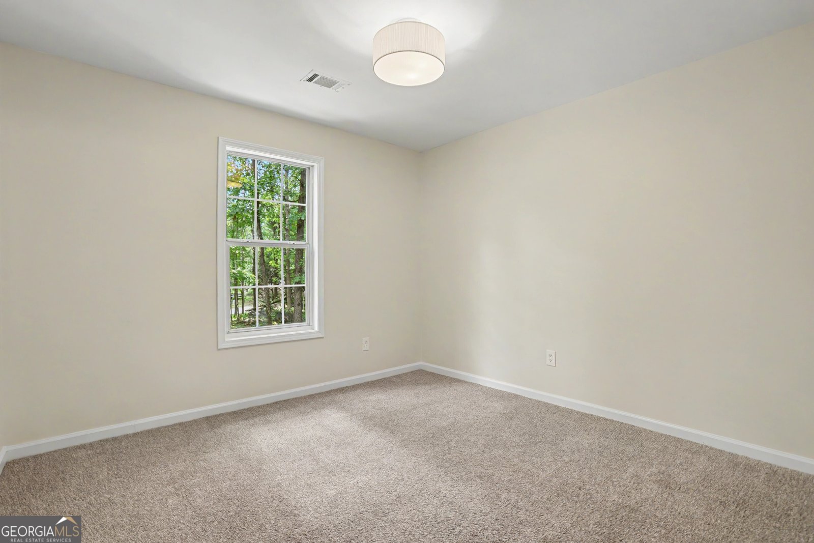 105 Creek View Drive Hoschton - Photo 28