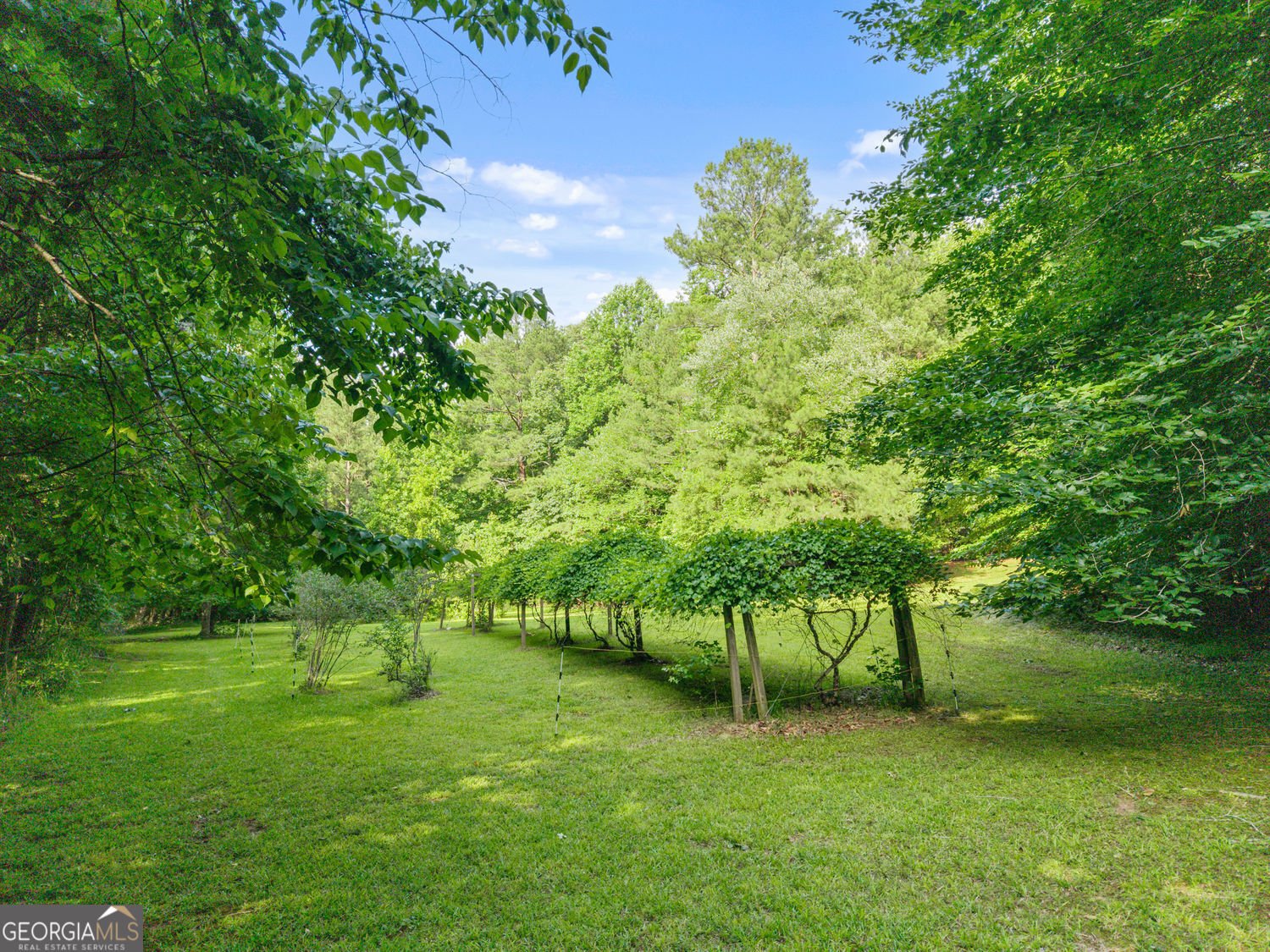3300 Jim Moore Road Dacula - Photo 79