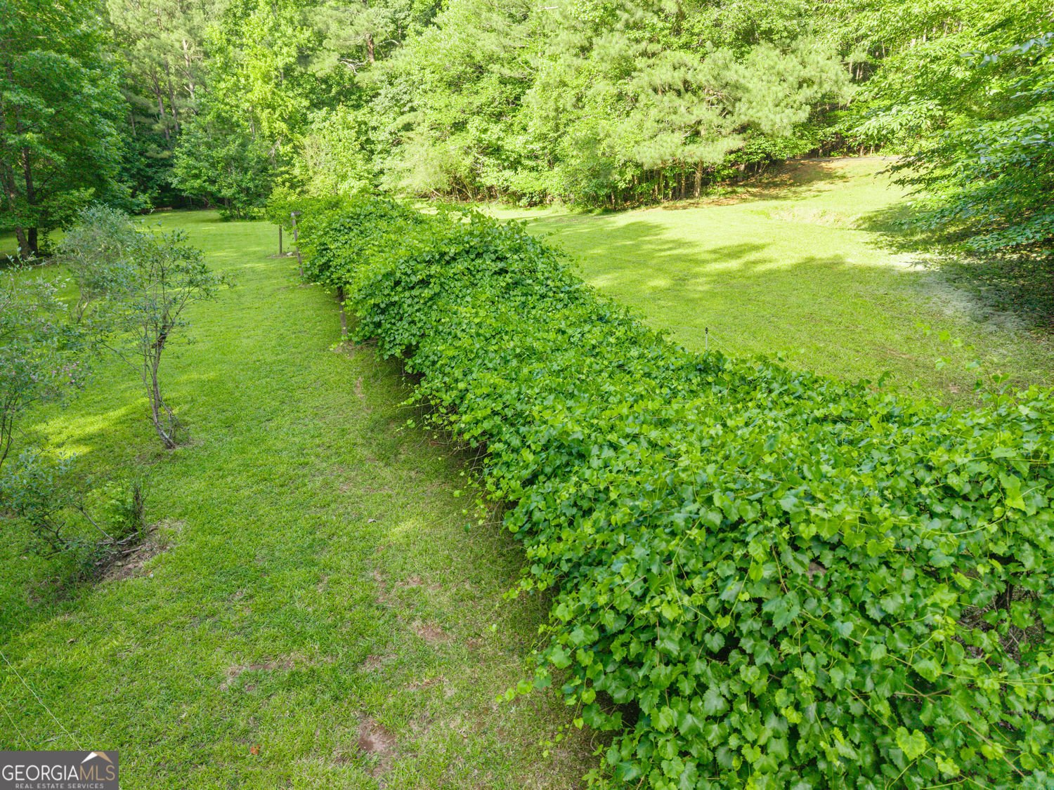 3300 Jim Moore Road Dacula - Photo 81