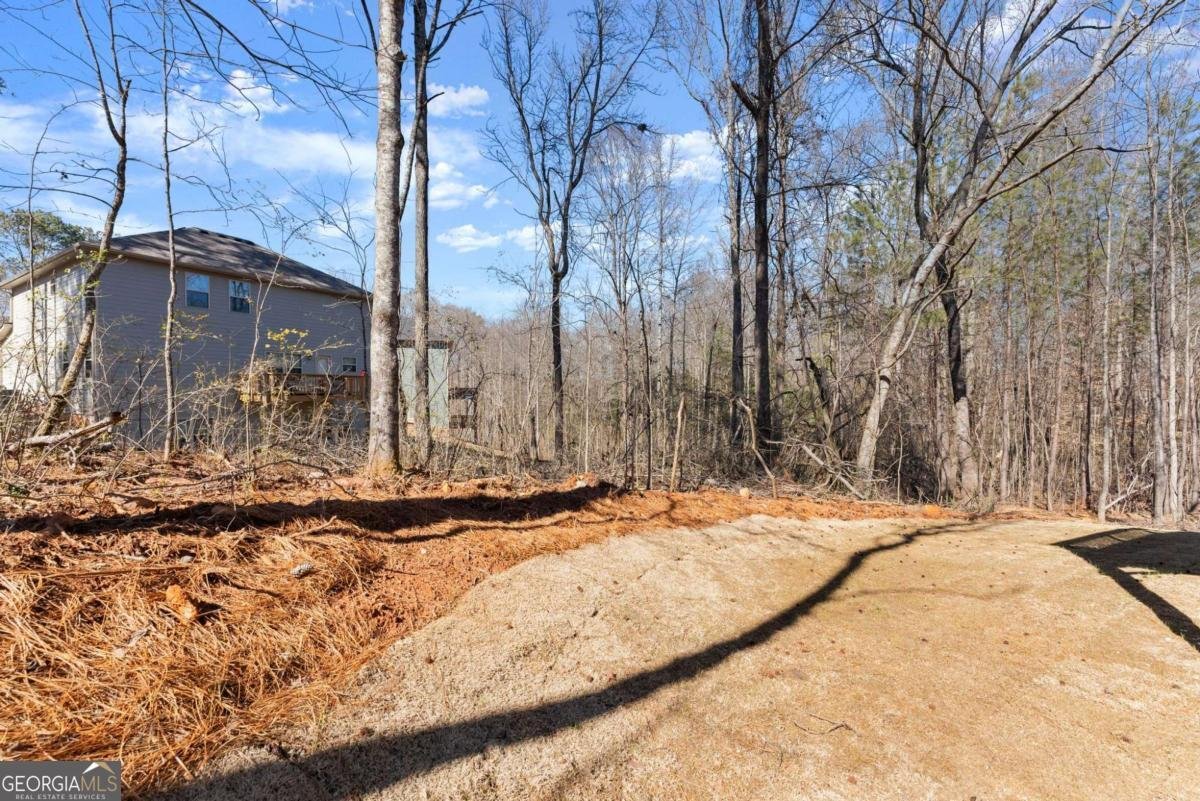 657 Forest Way Cornelia - Photo 46