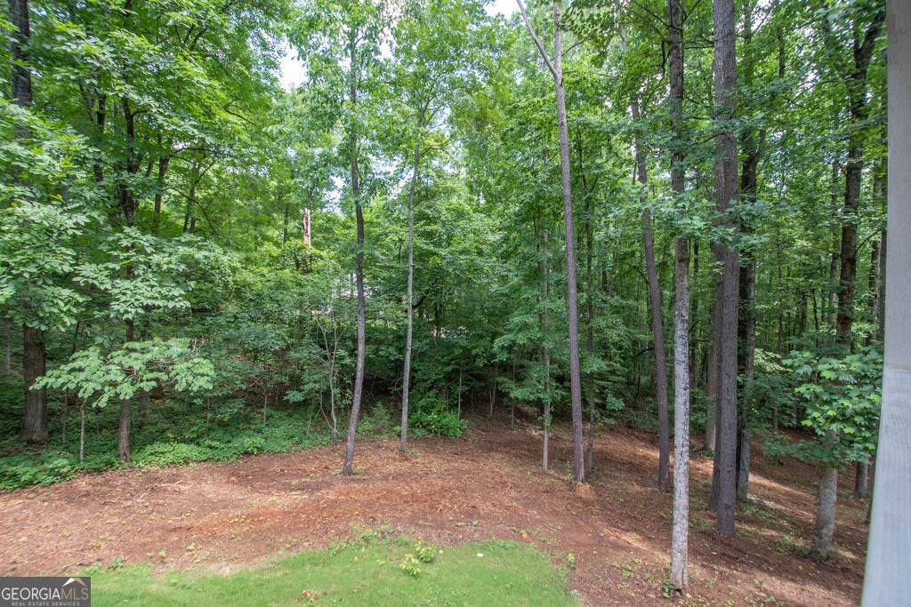 116 Wilson Creek Drive Lagrange - Photo 48