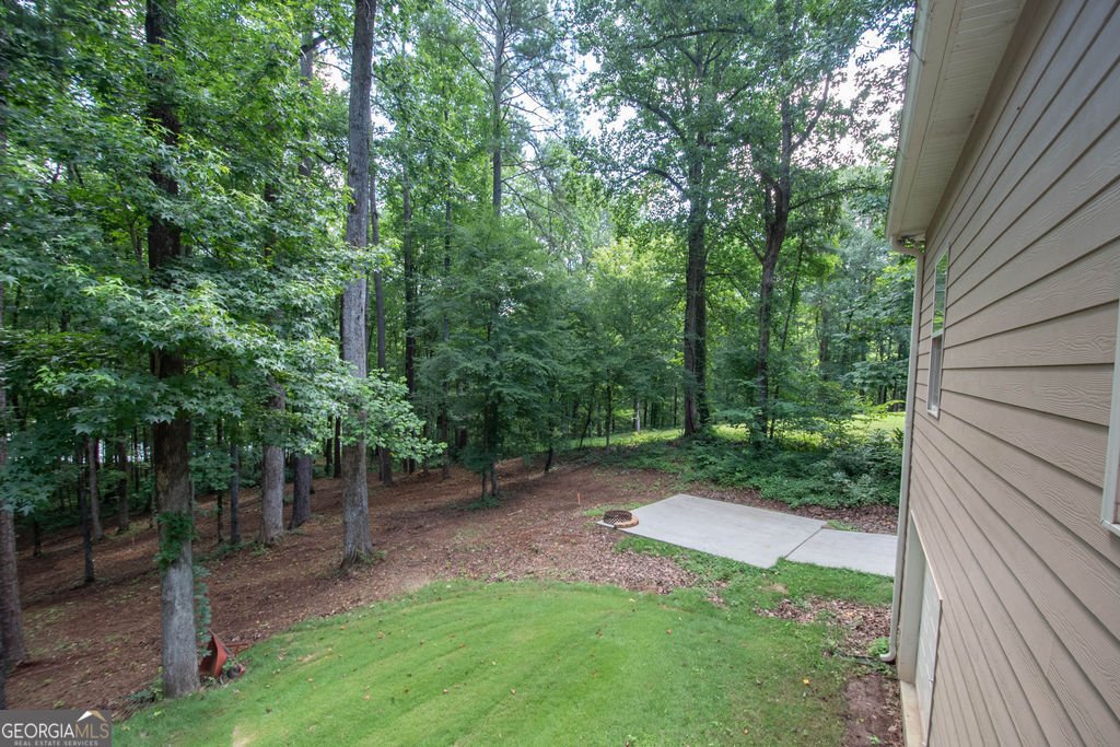 116 Wilson Creek Drive Lagrange - Photo 49