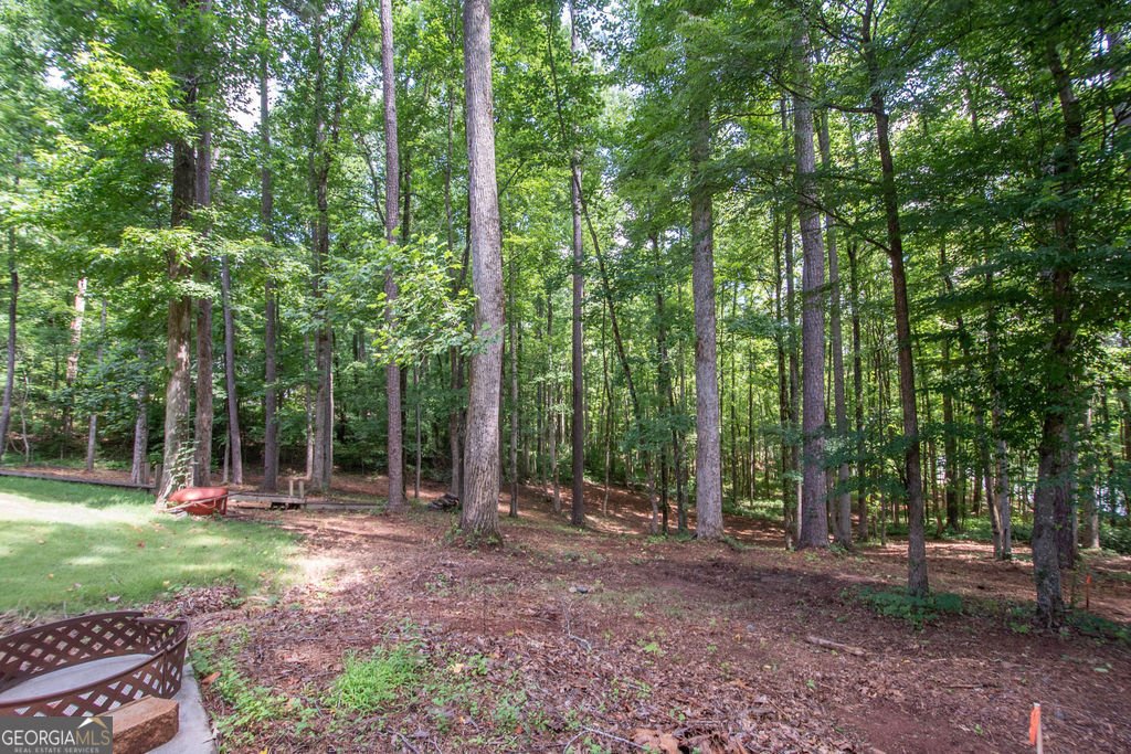 116 Wilson Creek Drive Lagrange - Photo 50