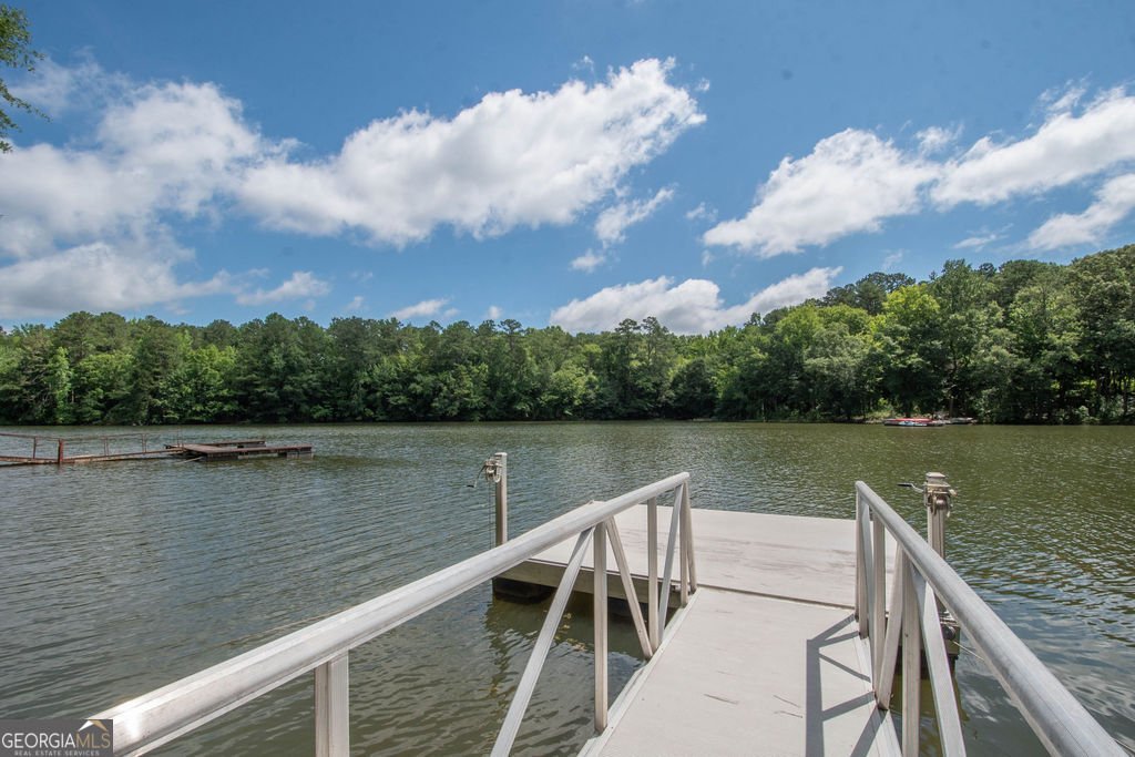 116 Wilson Creek Drive Lagrange - Photo 52