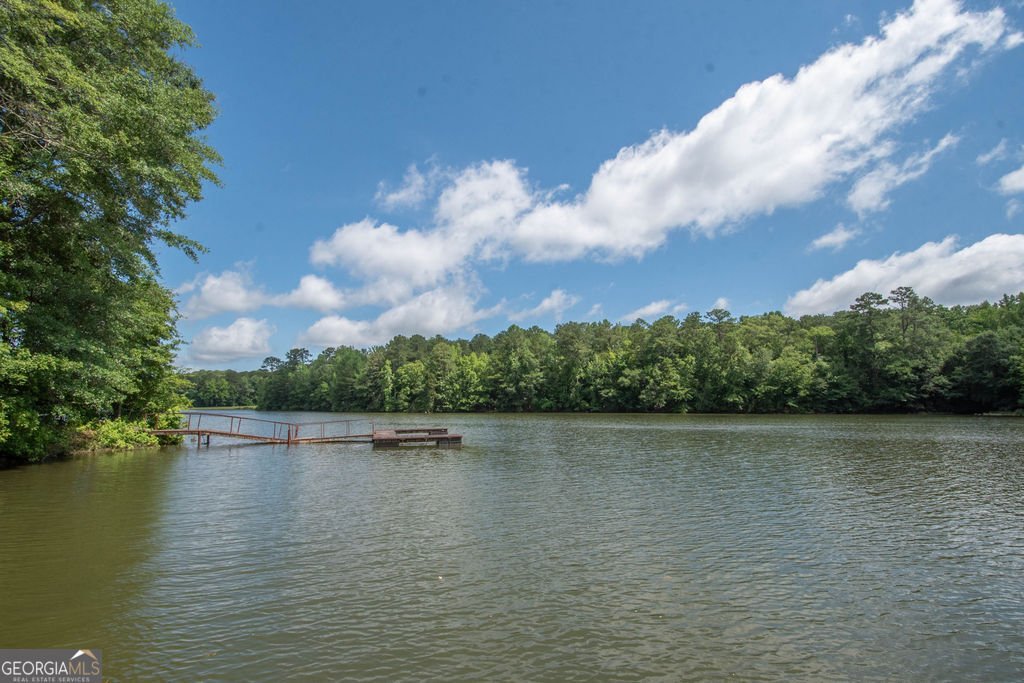 116 Wilson Creek Drive Lagrange - Photo 53