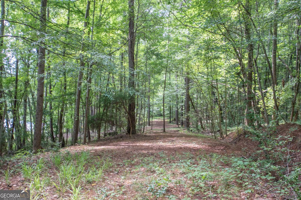 116 Wilson Creek Drive Lagrange - Photo 56
