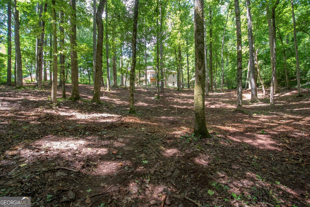 116 Wilson Creek Drive Lagrange - Photo 57