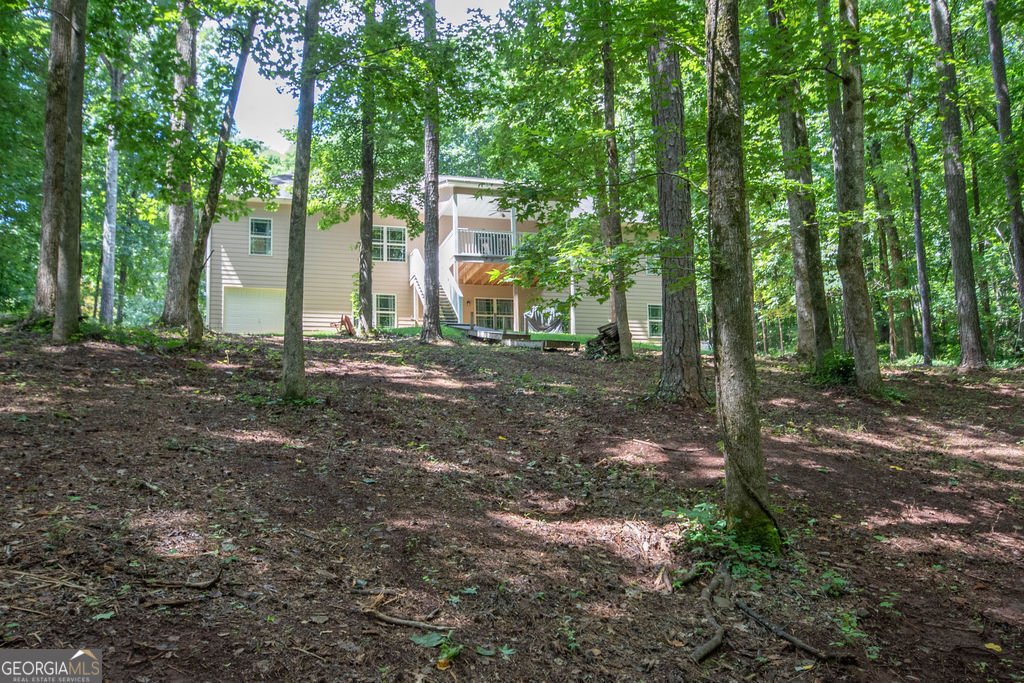 116 Wilson Creek Drive Lagrange - Photo 58