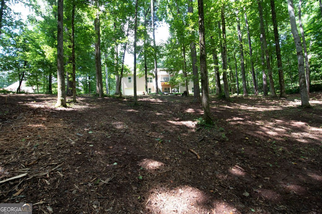 116 Wilson Creek Drive Lagrange - Photo 59