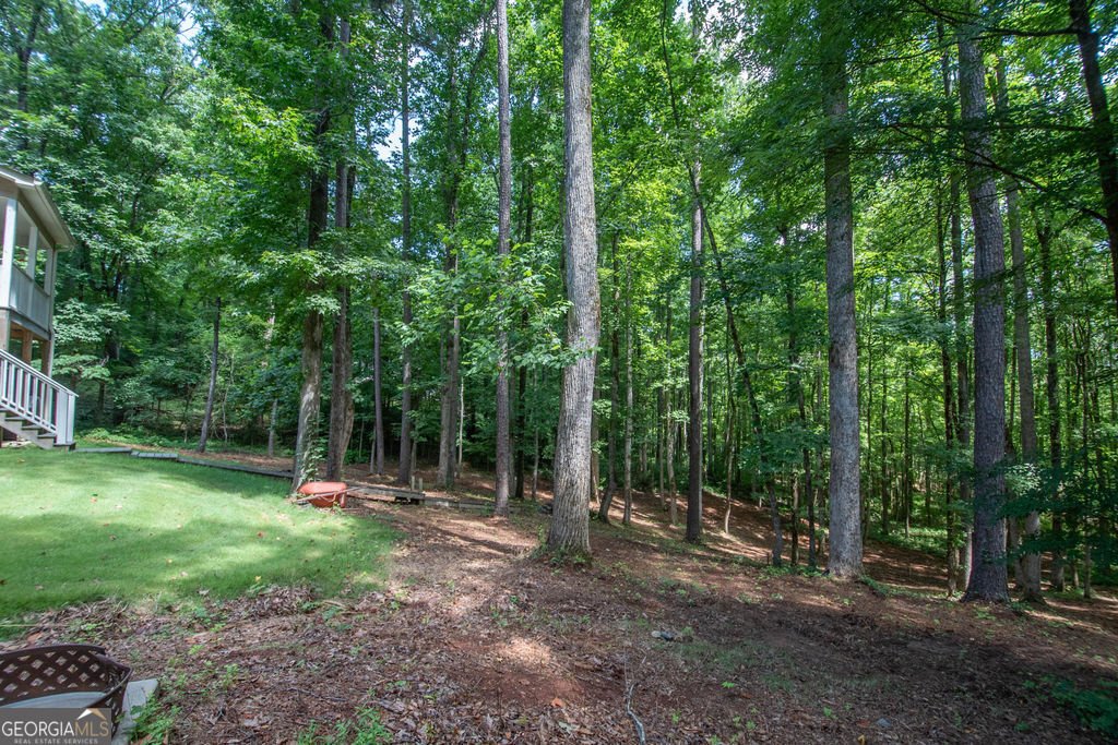116 Wilson Creek Drive Lagrange - Photo 63
