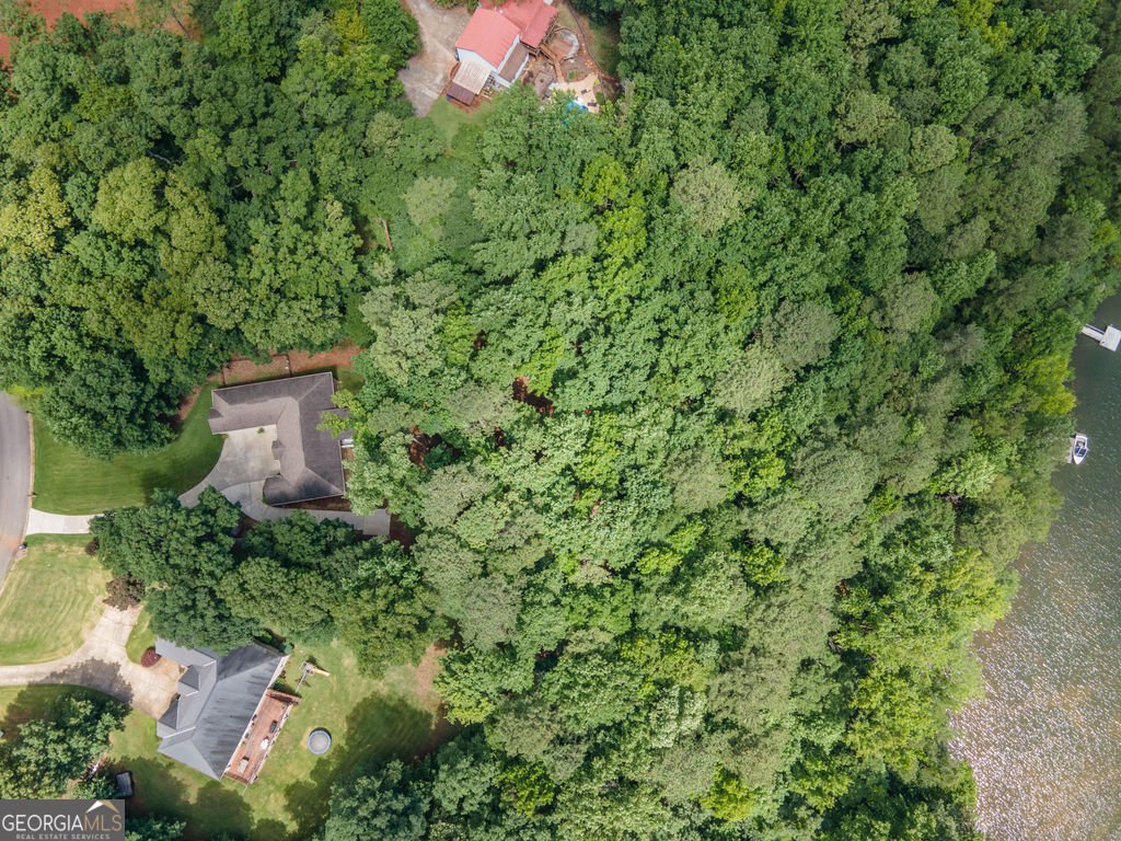 116 Wilson Creek Drive Lagrange - Photo 68