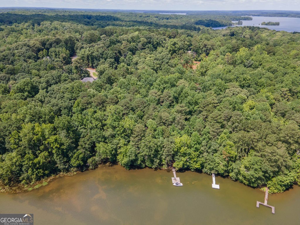 116 Wilson Creek Drive Lagrange - Photo 69