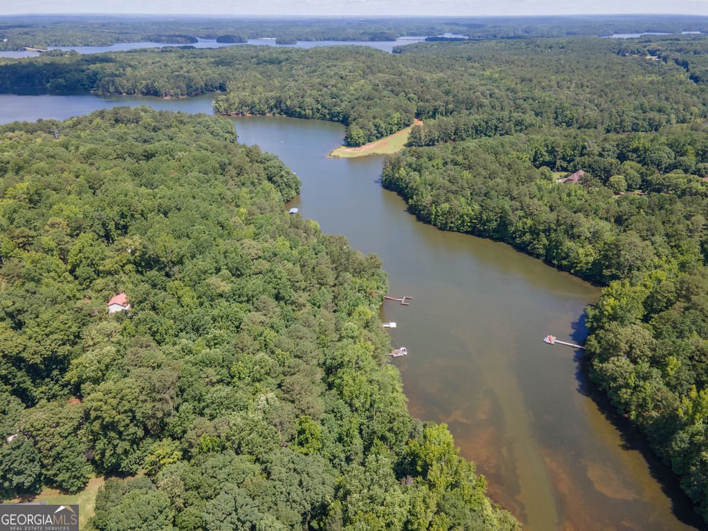 116 Wilson Creek Drive Lagrange - Photo 71