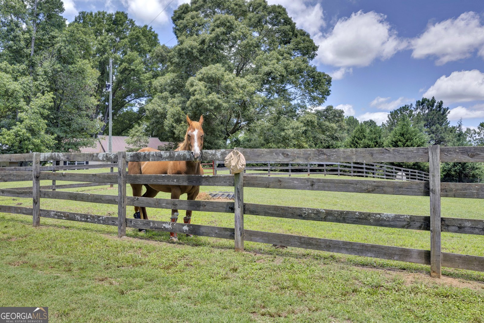 4133 H D Atha Road Covington - Photo 41
