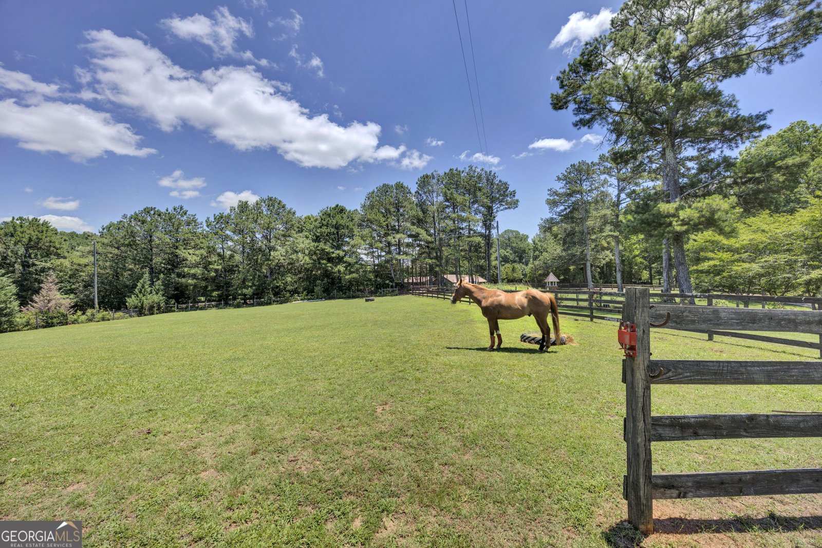 4133 H D Atha Road Covington - Photo 47