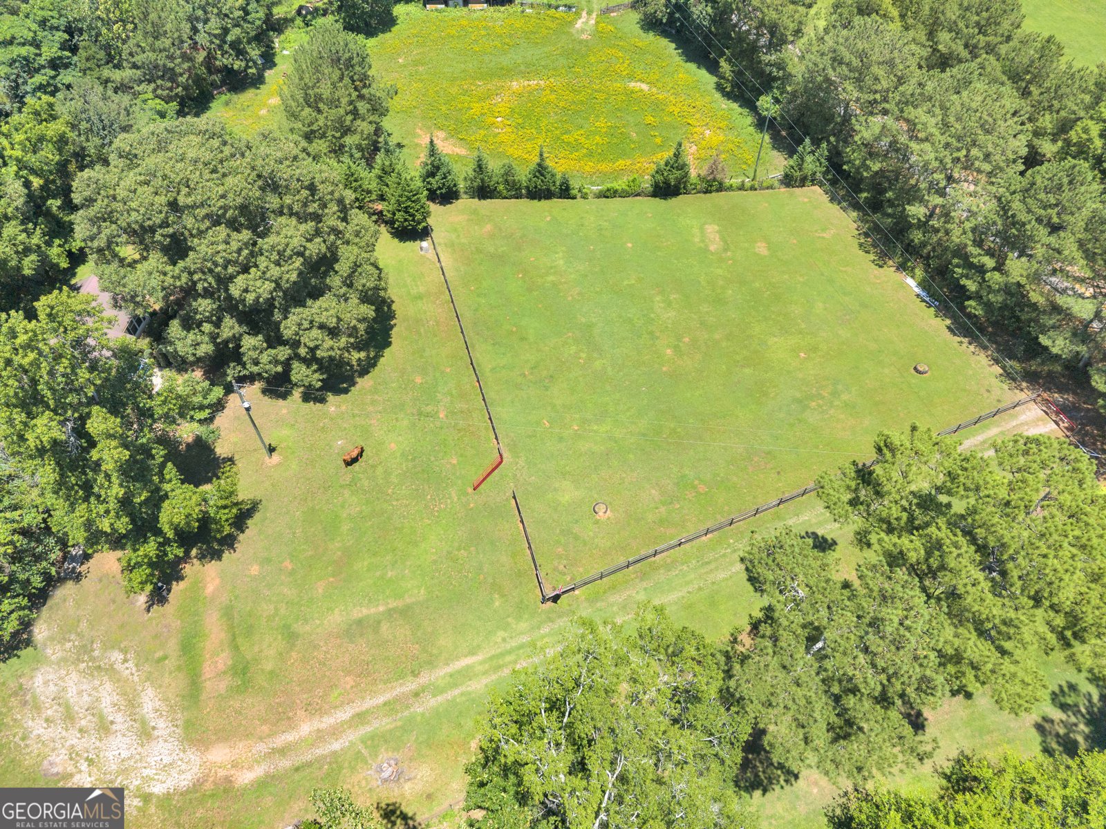 4133 H D Atha Road Covington - Photo 61
