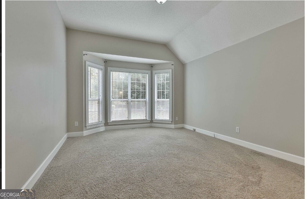 20 Audubon Point Newnan - Photo 25