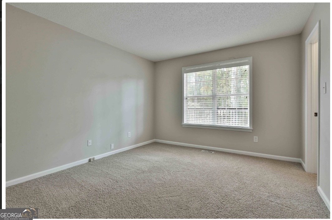 20 Audubon Point Newnan - Photo 27