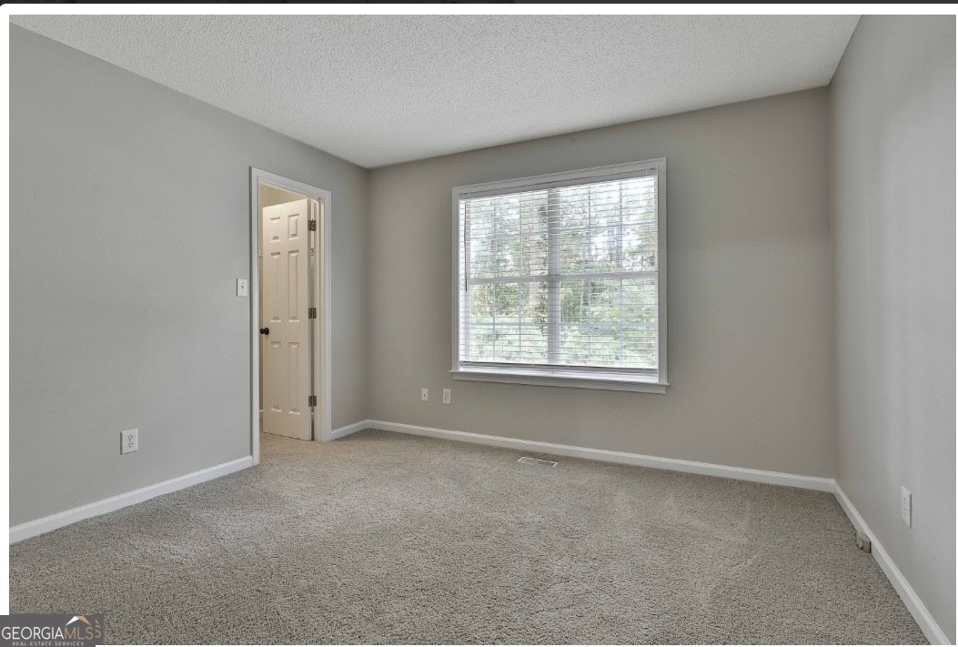 20 Audubon Point Newnan - Photo 30