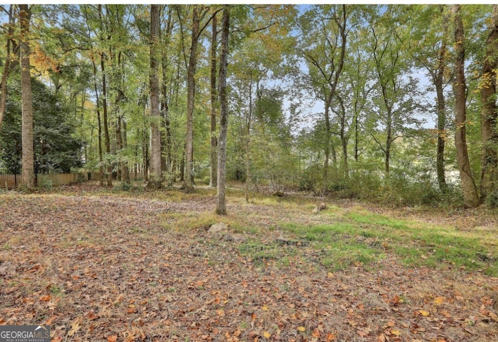 20 Audubon Point Newnan - Photo 40