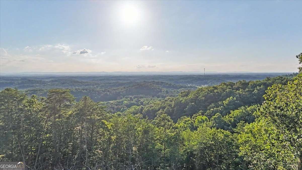 728 Railey Ridge Ranger - Photo 59