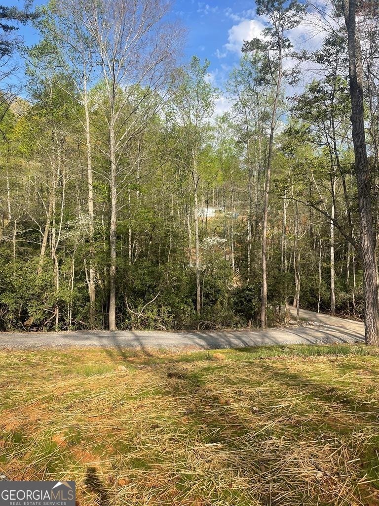 195 Loganberry Ln Hayesville - Photo 25