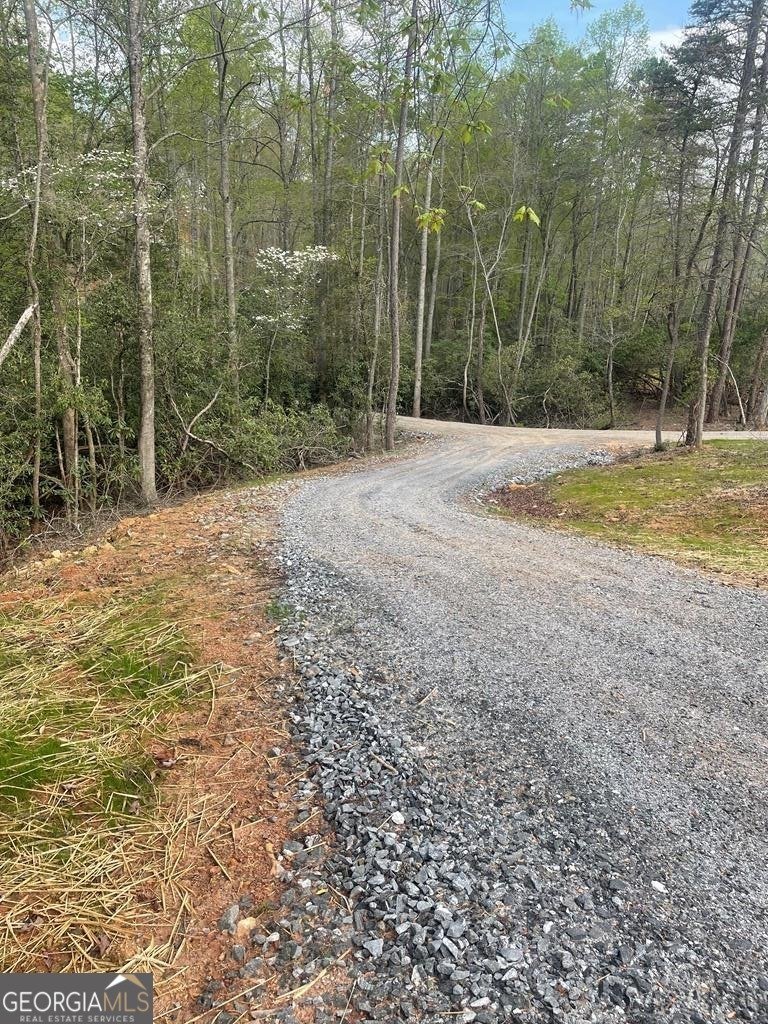195 Loganberry Ln Hayesville - Photo 26