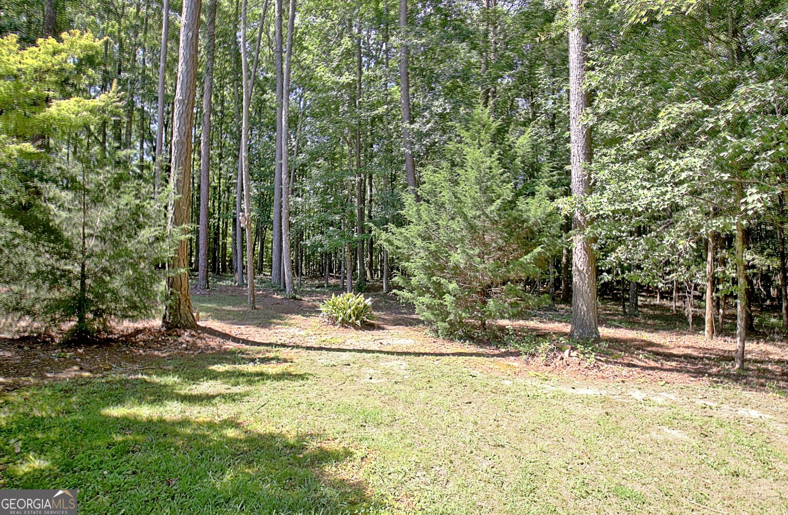 177 Rock House Estates Drive Senoia - Photo 55