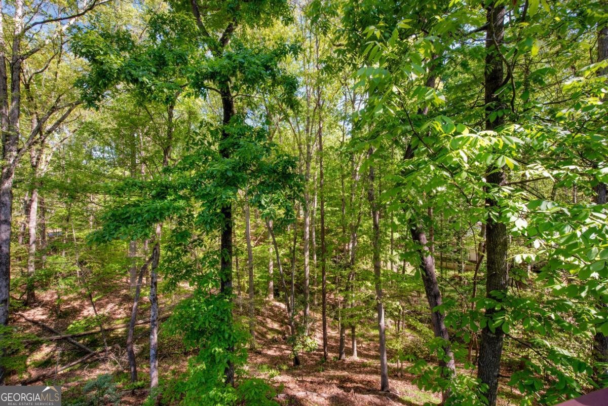 120 Boxelder Lane Roswell - Photo 34