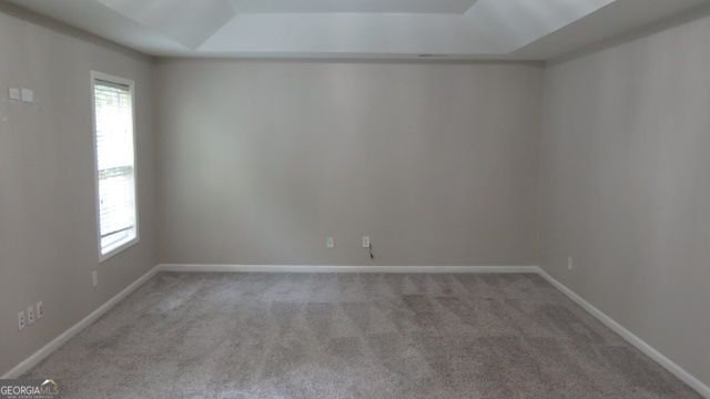 102 Westmont Way Tyrone - Photo 31
