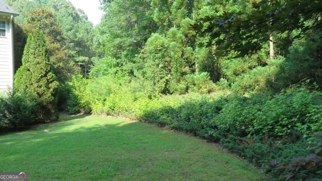 102 Westmont Way Tyrone - Photo 64