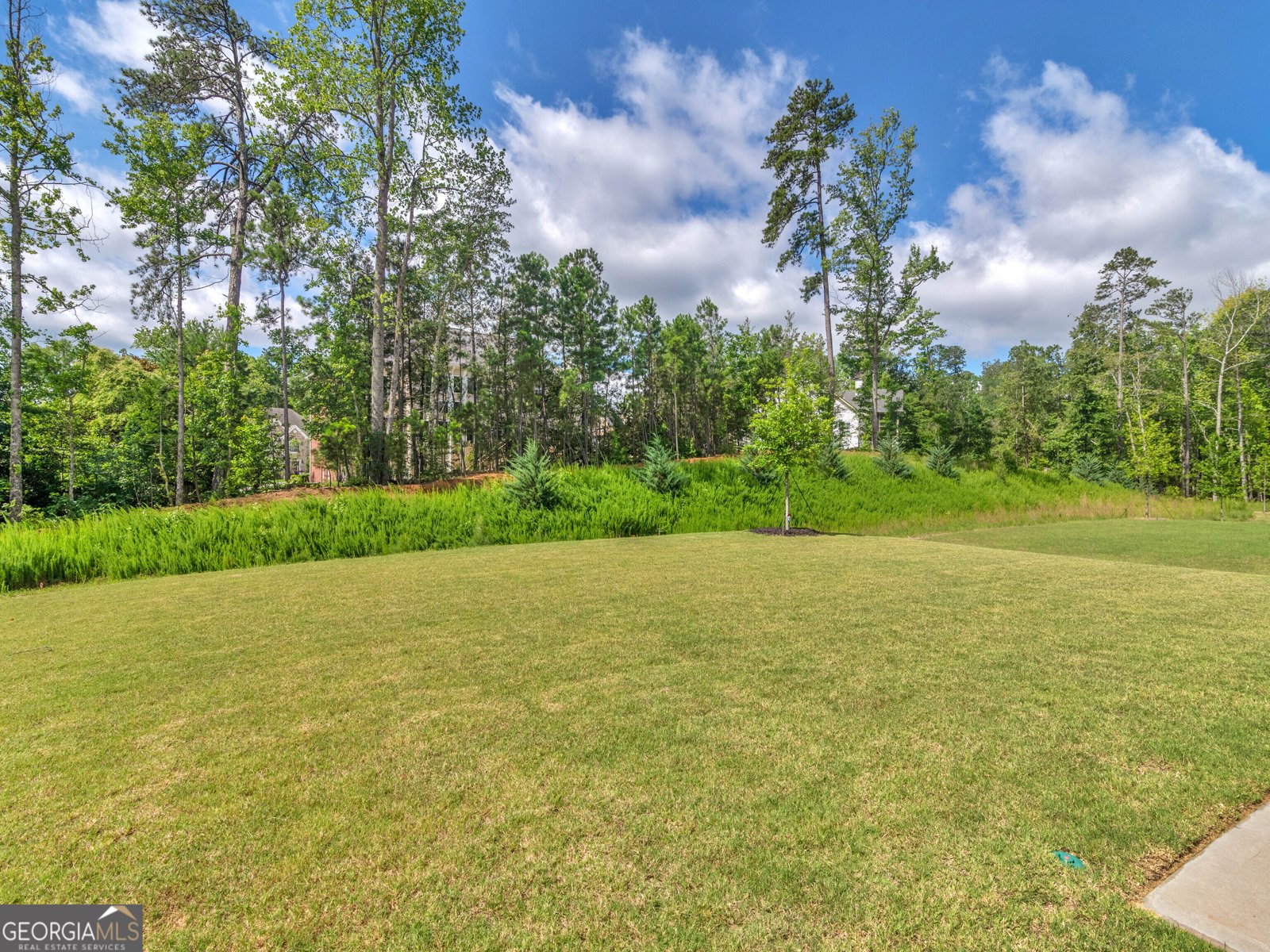 2298 Treaty Lane Douglasville - Photo 22