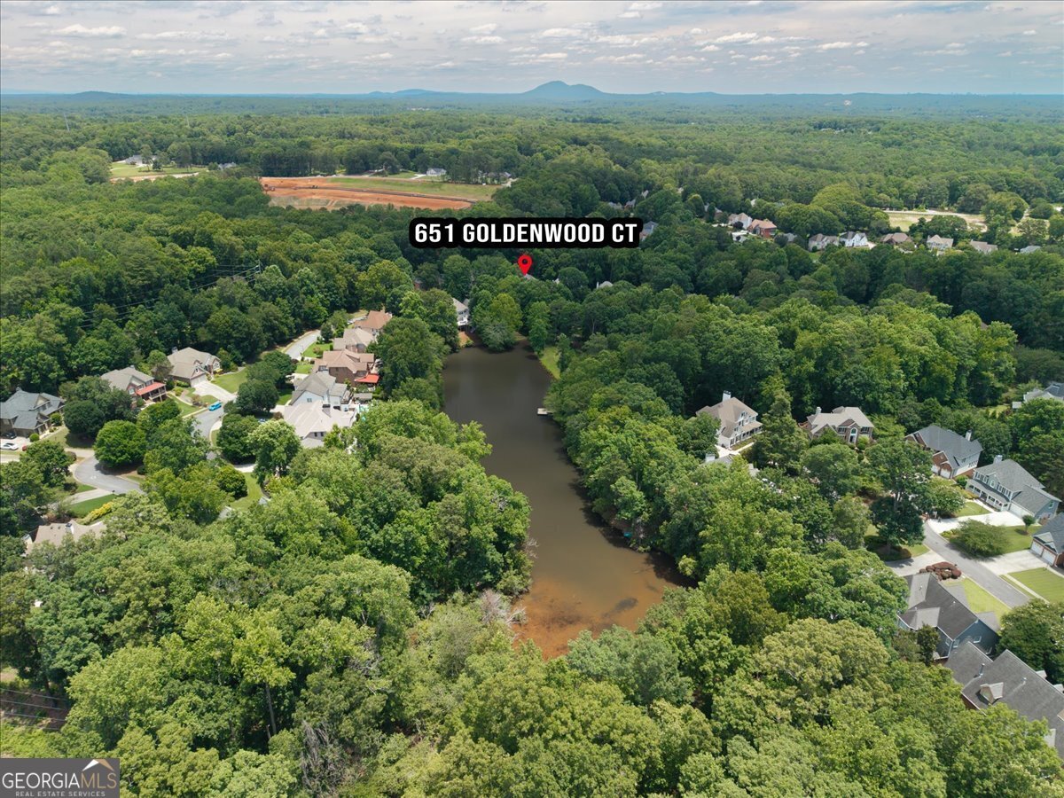 651 Goldenwood Court Powder Springs - Photo 68