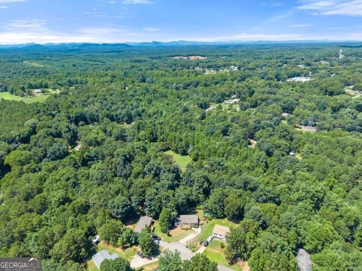 6736 Victoria Lane Lula - Photo 47
