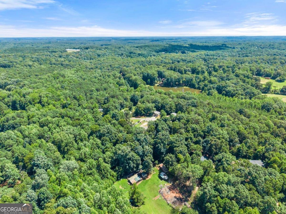 6736 Victoria Lane Lula - Photo 48