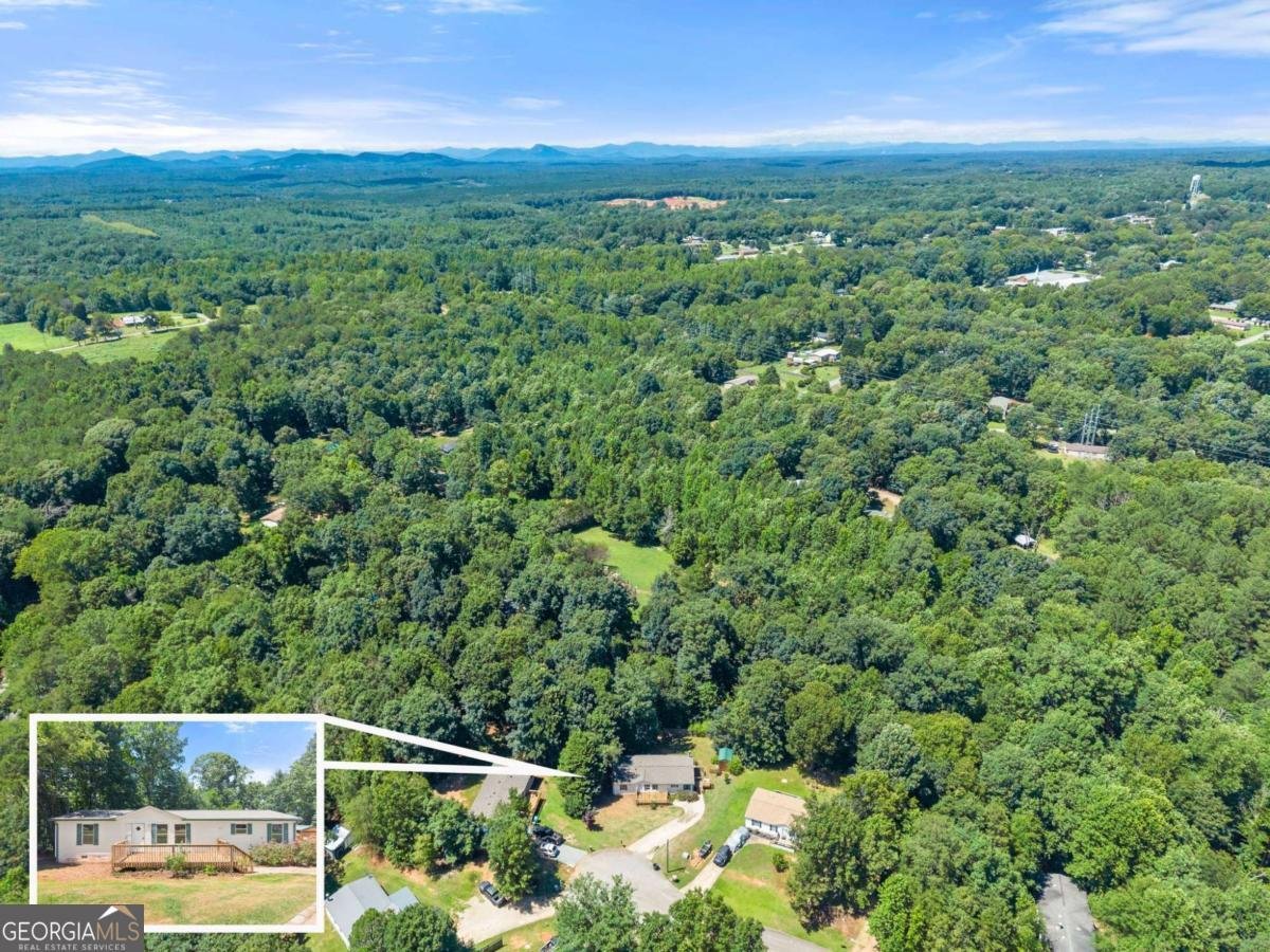 6736 Victoria Lane Lula - Photo 49